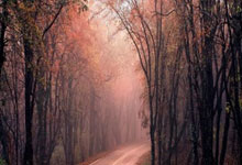 FB体育网页版-蓝月当空哈兰德独舞！8球血洗曼联创世纪屠杀