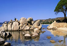 FB体育网页版-蓝月当空哈兰德独舞！8球血洗曼联创世纪屠杀