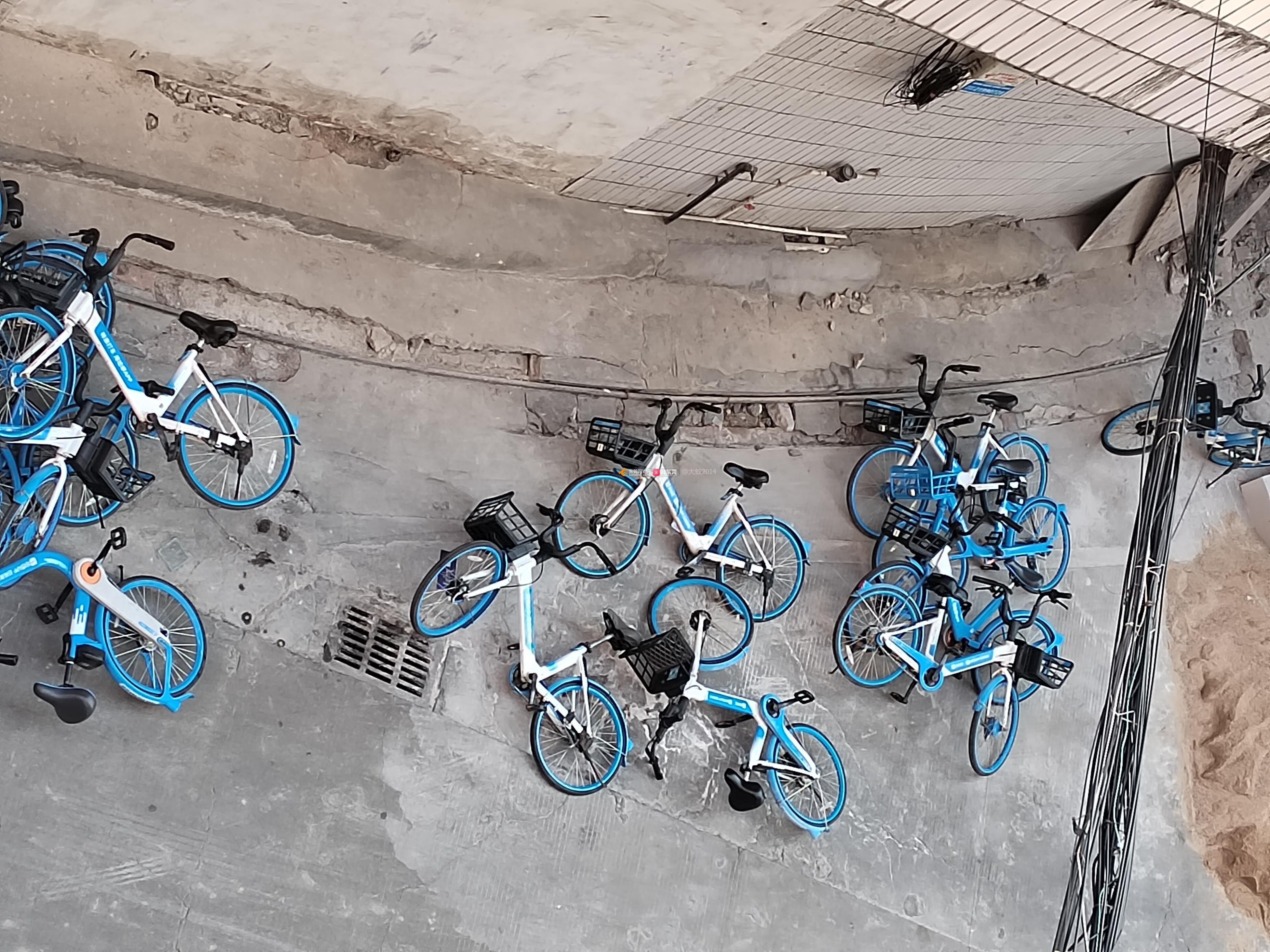 纷纷扰扰的比赛场面引人入胜 纷纷扰扰的比赛场面引人入胜