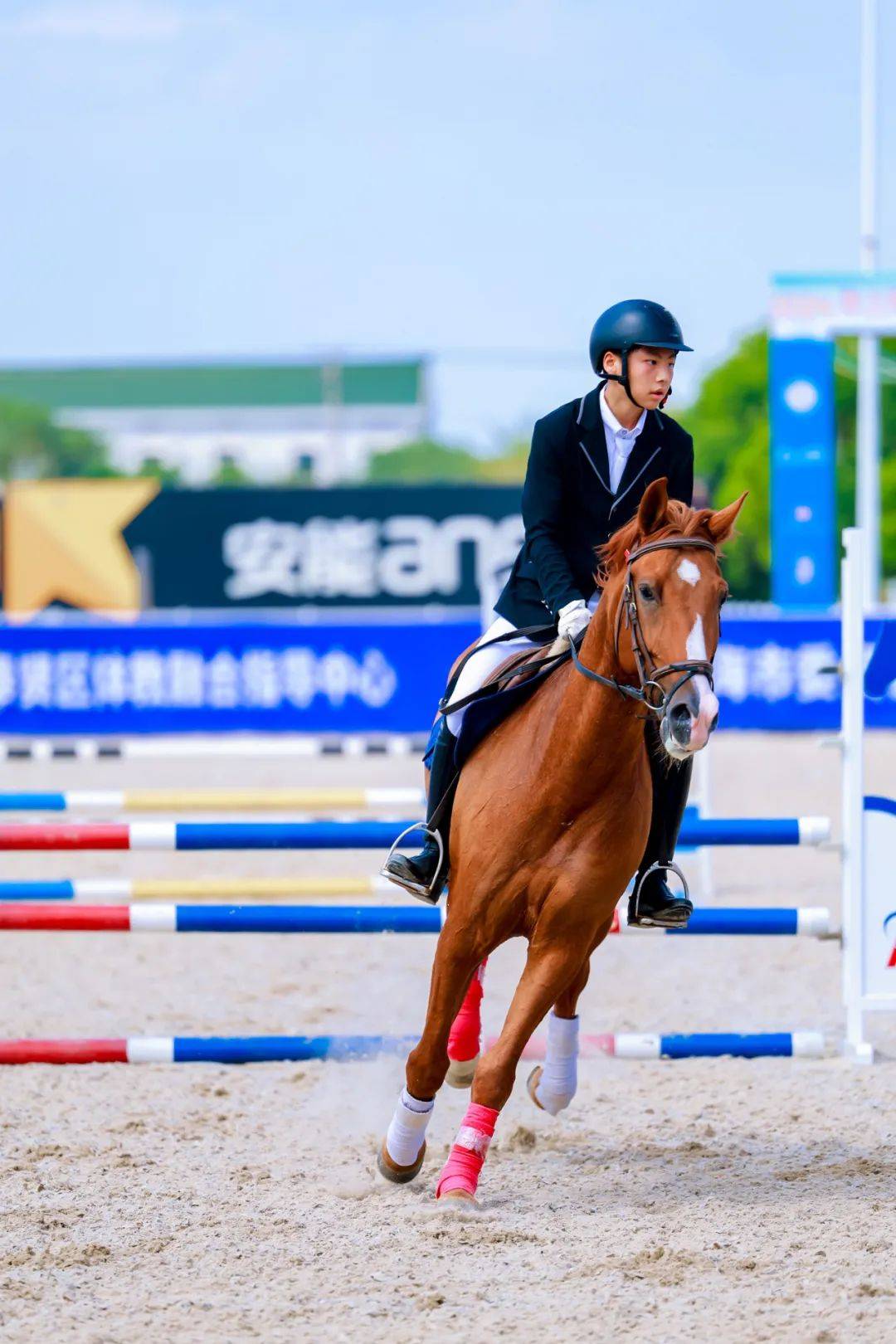 卢森堡马术选手娴熟操作,夺冠燃爆全场 卢森堡马术选手娴熟操作,夺冠燃爆全场