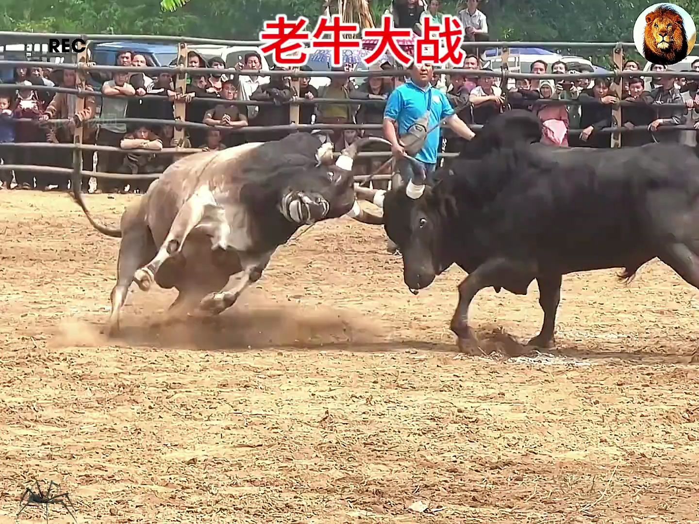 -比赛场面精彩绝伦，实时报道火爆场面！